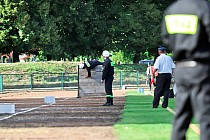 fot. 113