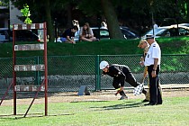fot. 119