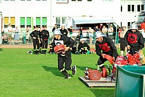 fot. 208