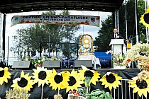 fot. 173