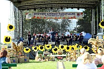 fot. 223