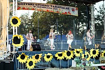 fot. 391