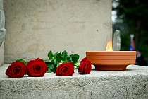 fot. 1
