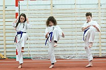 fot. 6