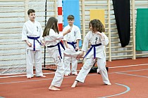 fot. 8