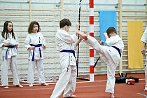 fot. 10