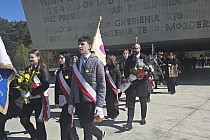 fot. 6