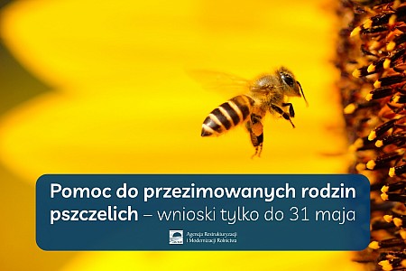 Pomoc do przezimowanych rodzin pszczelich - do 31 maja